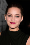 Marion Cotillard