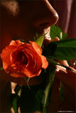 Nata - Bodyscape: Love is a Rose-t33g3t55ju.jpg